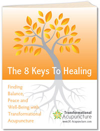 How To Thrive In The Modern World: A Layperson's Guide to Chinese Medicine