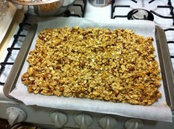 Granola just out of the oven Granola just out of the oven