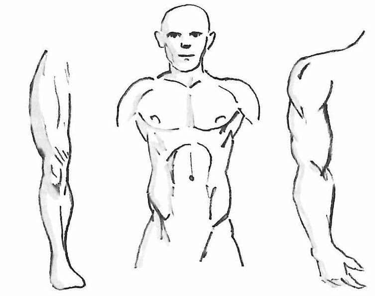 Imaging: Head/Trunk to limbs used to demonstrate where to select acupuncture points