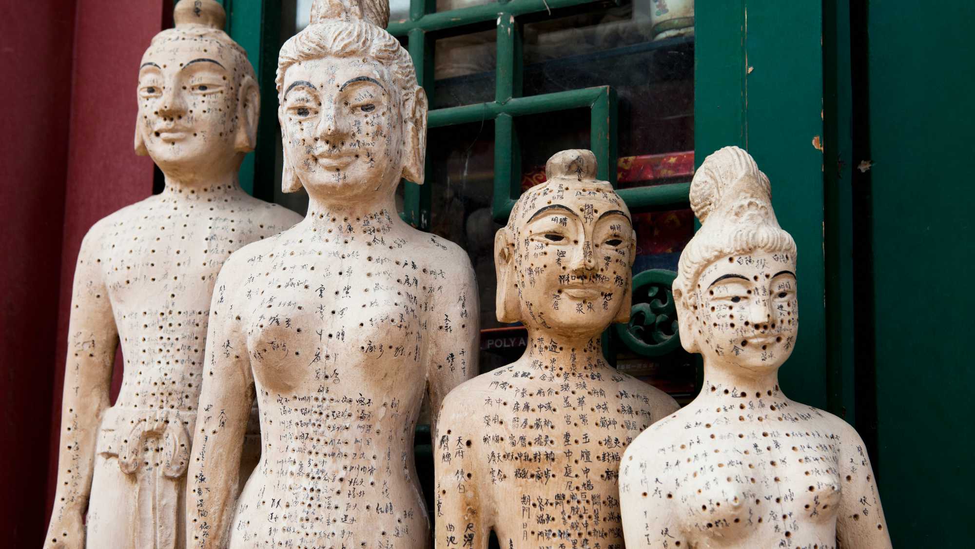 Understanding Qi Energy and Meridians Transformational Acupuncture