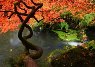 Sarah Kabcenell, MAc, DiplAc, LAc