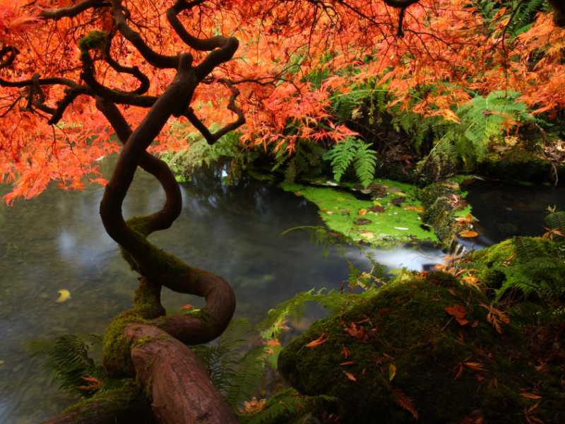 Sarah Kabcenell, MAc, DiplAc, LAc