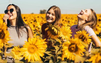 Seasonal Series: Summer