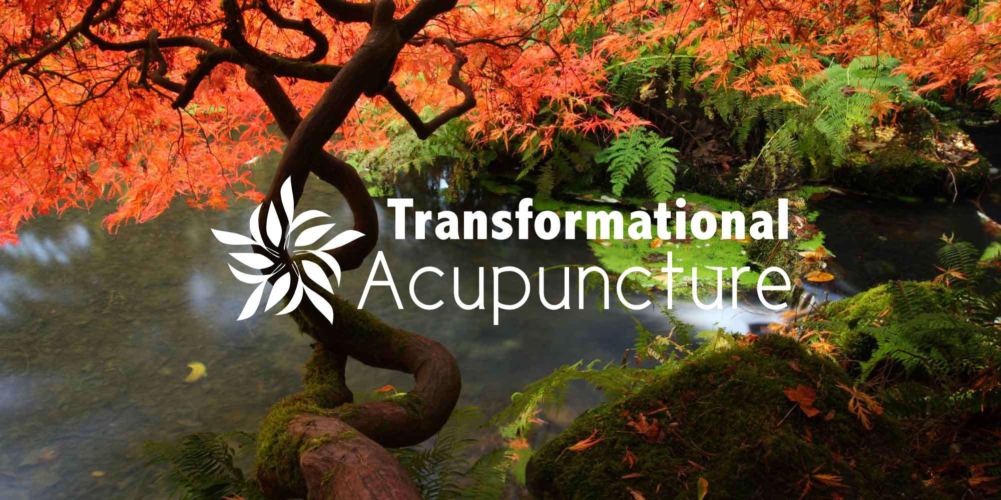 Optout preferences at Transformational Acupuncture